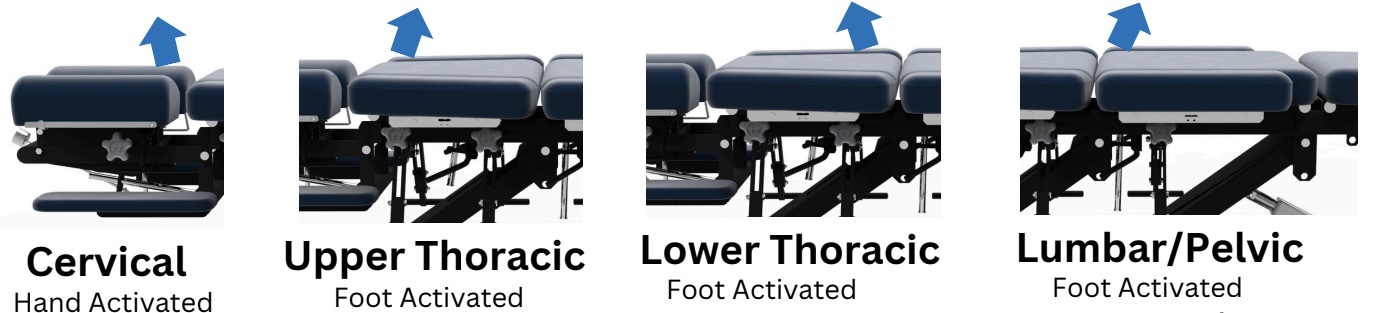CHIRO-SERIES Drop Sections - Cervical, Upper Thoracic, Lower Thoracic, Lumbar/Pelvic